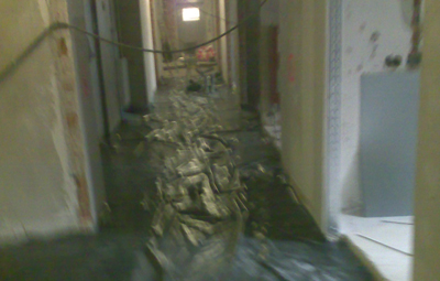 Professionelle Sanierung